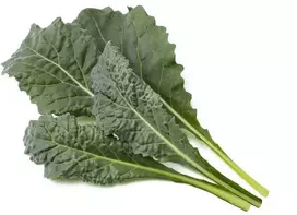Click And Grow Click & Grow sėklos išmaniajam vazonui - Kale kopūstai (Italian Kale) 3vnt.