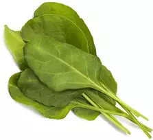 Click And Grow Click & Grow sėklos išmaniajam vazonui - Lapiniai burokėliai, 3vnt.