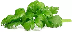 Click And Grow Click & Grow sėklos išmaniajam vazonui - Lapiniai salierai (SGR97X3) 3vnt.