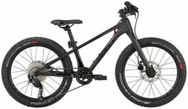 Bulls Dviratis 20" Tokee Ultra Lite Rainbow karboninis