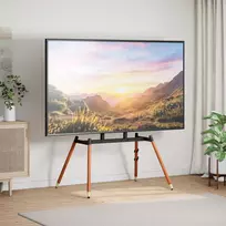 Laikiklis Eselio TV stovas skirta 37-86 Inch Screen 60 kg