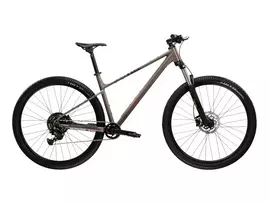 KROSS Level X100 MY26 / Grey-Brown Matte / kalnų (MTB) dviratis (29") (L)