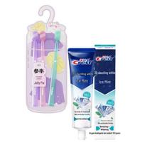 Crest 3D White Arctic Mint Toothpaste & Toothbrush Set