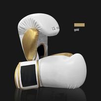 TLXT Boxing & Muay Thai Training Gloves