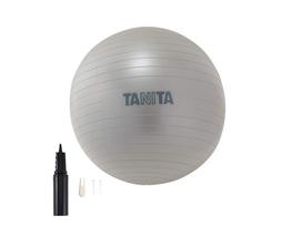 Tanita Size Gym Ball TS-962 Silver φ65cm sidabras