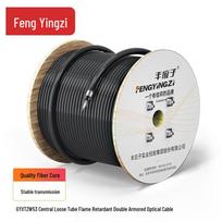 Outdoor 12-Core Single-Mode Double Armored Fiber Optic Cable 12 Core (100 Meters)