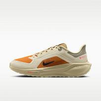 Nike Air Zoom Pegasus 41 Gore-Tex Running Poets 36.5