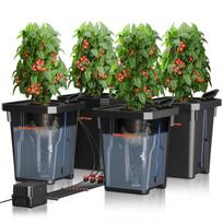 Hidroponikos sistema Spider Farmer SF-DWC, Hidroponikos sistema Spider Farmer SF-DWC