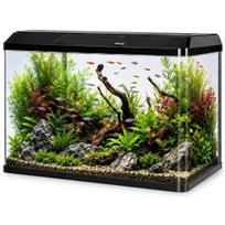 Akvariumas su apšvietimu ir dangčiu 60 l Kruger Meier LAORIA Panoramic 600