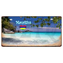YZFQ Mauricijaus Vėliava Metaliniai Retro Ženklai FIJI Korfu Sala Zakintas Kelionės Suvenyras Sienai Namams Vintažinis Dekoras 30X15CM DC-1440B 15x30cm(5.9x7.8inch) blue