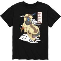 HYBRID APPAREL - Avatar The Last Airbender - Team Avatar - Men's Short Sleeve Graphic T-Shirt S juoda