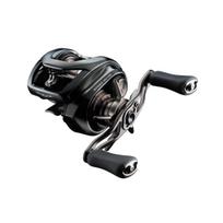 Daiwa 24STEEZ SV TW 100L Bass Baitcasting Reel (2024 Model)