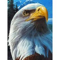 5D „pasidaryk pats“ deimantinės tapybos rinkinys „Eagle Art“ deimantinis siuvinėjimas cirkonio papuošimais namams Round 20x30cm