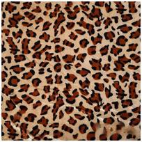 100x150cm Auksinio aksomo audinys su gyvūnų raštais Tigro, Leopardo, Zebrų raštais Sofos, Žaislų, Kostiumų audinys 100x150cm