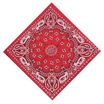 Wrist Band Head Wrap Paisley For Graffitin B-Boyin Sports Scarves Square Scarf Handkerchief Bandana raudona