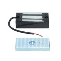 60KG/100 svarų Elektrinis užraktas 12V/24V Magnetinis užraktas Sunkiosios apkrovos Durų prieigos kontrolė Durų prieiga 12V-Normal black