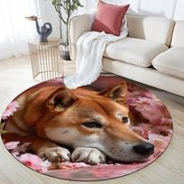 Shiba Inu pattern round rug,Carpet Rug for Living Room Bedroom  Playroom ,Non-slip Floor Mat,Holiday Gifts and Birthday Gifts. 80cmx80cm