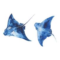 Animacinis povandeninis dygliuotasis rajos sienos lipdukas, lipnus, miegamojo, vonios kambario, namų fono sienų dekoravimui 40x60CM įvairiaspalvis