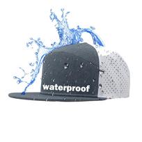Flat Bill Custom Sports Baseball Cap Gorras Laser Cut Perforated Blank 6 Panel Snapback Waterproof Hydro Hat Cap tamsiai pilka spalva