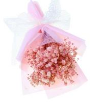 „HOW-E Gypsophila Romantic“ natūralių džiovintų gėlių „Babybreath“ gėlių dekoras šviesiai rausvos spalvos