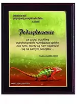 Plastikinis diplomas su spalvota lietimui jautria laminuota danga