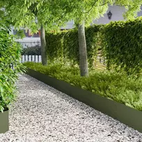 Vejo kraštas 30 vnt. 100 x 30 cm Plienas Alyvuogių žalia