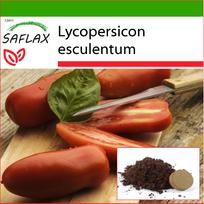 SAFLAX – Pomidoras – San Marzano – 10 sėklų – Su vazoniniu substratu geresniam auginimui – Lycopersicon esculentum