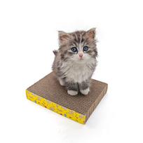Cat Scratching Pad Corrugated Cardboard Cat Claw Board Cat Scratch Mat Cat Toy Cat Scratcher Bed Durable Eco Friendly Material one size