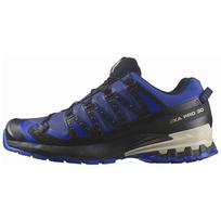 Salomon XA Pro 3D v9 GORE-TEX Blue Print Men Sneakers Surf-The-Web Lapis-Blue L47270300 41⅓