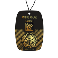 Car Freshener Kvapas automobiliui zodiako ženklas Aquarius