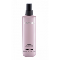 Styling Primer Spray Daugiafunkcinis purškiklis plaukams 250ml