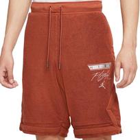 Jordan Casual Shorts Men's Brown DA5498-255 L