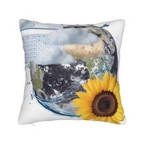 Pillow Case Frutiger Aero Cat Print  Pillow Cover For Chair Sofa Home Decor Morden Pillowcases 12x12Inch