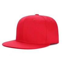 Custom Cotton Snapback Hat Hip Hop Snapback Cap 3d Embroidery Custom adult size balta