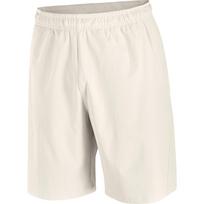SALOMON WAYFARER EASE Sports Shorts Men's C27473 M