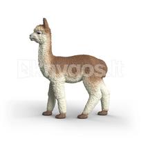 SCHLEICH FARM WORLD Alpaka