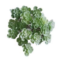 Dirbtinis sukulentas, neblunkantis, realistiškas, sluoksniuotas, dekoravimui, plastikinis, dirbtinis augalas, kraštovaizdis, žemės sukulentas, namams, ARI