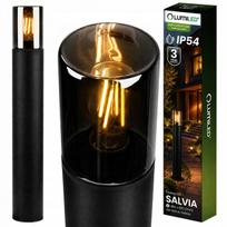 Lauko sodo šviestuvas LED, stiklinis, E27, IP54, 60 cm
