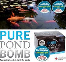 Tvenkinių vandens valymo priemonė Evolution Aqua Pure Pond Bomb