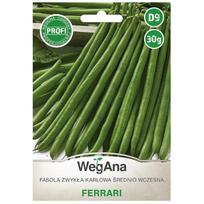 Ferrari dwarf paprastųjų pupelių sėklos 30g pupelių sėklos - WegAna