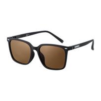 [Shimano] Polarized Glass Wellington Glass 01 UJ-051Y Brown/Matte Black
