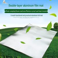 Airedy Double-Sided Aluminum Film Outdoor Picnic & Camping Mat