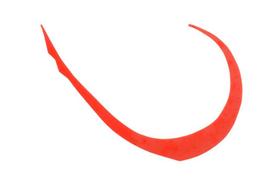 JACKALL Bing Switch T+Tie Micro Curly Wide Bright Orange small oranžinė