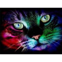 Gyvūnų DIY 5D Deimantinis tapymas Visas apvalus grąžtas Lovely Cat deimantinis siuvinėjimas kryželiu mozaikinis kalnų krištolas namų dekoro dovana Full Square 20X30CM gray