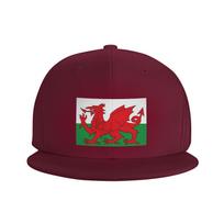 Flag Of Wales Welsh Dragon Baseball Caps Snapback Fashion Baseball Hats Breathable Casual Casquette Outdoor for Unisexs WoUnisexs One Size