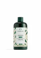 The Body Shop - Kondicionierius nuo pleiskanų Ginger (Conditioner) - 60 ml