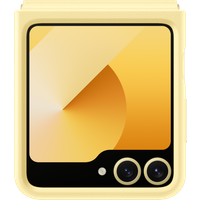 Galaxy Flip6 Kindsuit dėklas