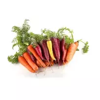 Įvairiaspalvės morkos, 500 g