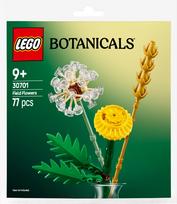 Konstruktorius LEGO® Botanicals Field Flowers 30701, 77 vnt.