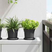 Augalų vazonai 6 pcs Juoda Ø 15 x 12 cm Plastmasė